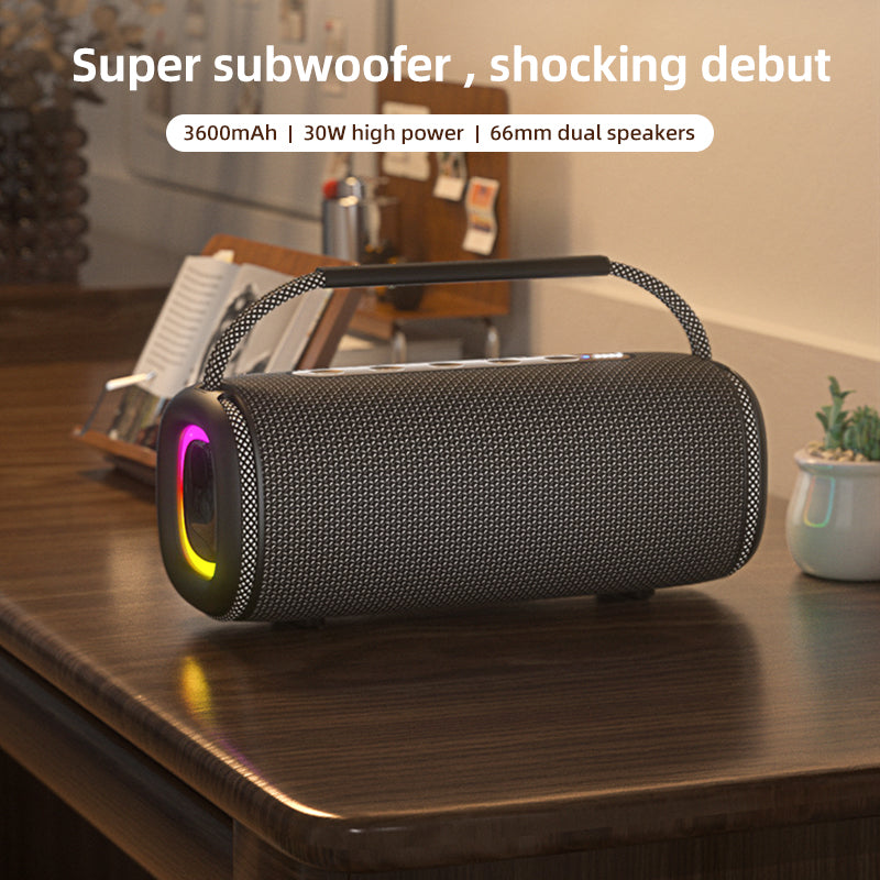 YL-617 High power dual large speaker outdoor Portable Bluetooth speaker